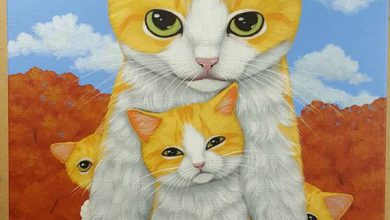 Bild von Animated Cat Pictures Bilder