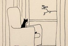 Bild von Best Cat Photo Ever Bilder fürs handy