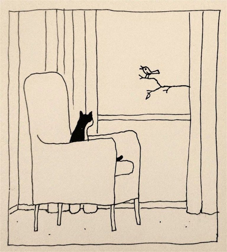 Best Cat Photo Ever Bilder