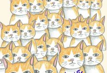 Bild von Best Cat Photos Bilder fürs handy