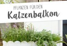 Bild von Bild bilder fürs handy