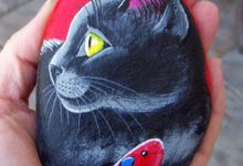 Bild von Bilder Katzenrassen Bilder Kostenlos bilder fürs handy