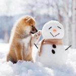 Bilder Mit Nikolaus 150x150 - Schöne Nikolaus Bilder