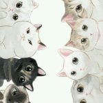 Bkh Katzen Gratis 150x150 - Kurzhaar Katzenrassen