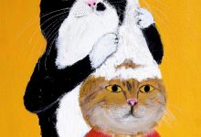 Bild von Caption For Cat Pictures Bilder fürs handy