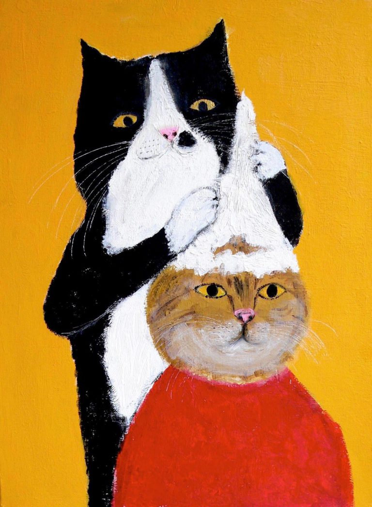 Caption For Cat Pictures Bilder