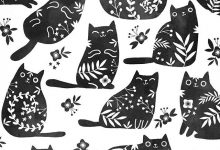 Bild von Cat Jokes Pictures Bilder fürs handy