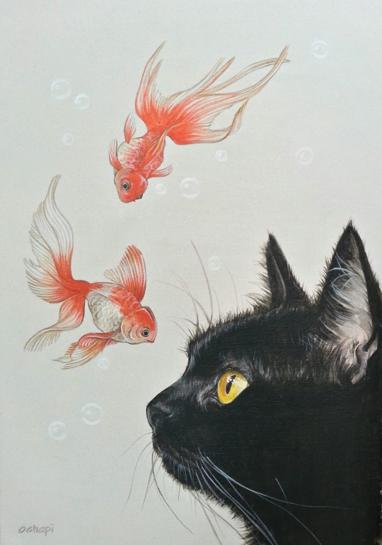 Cat Picher Bilder