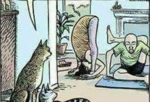Bild von Cats Pics Free Download Bilder fürs handy