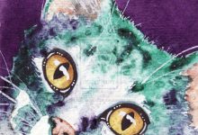Bild von Crazy Cat Photos Bilder fürs handy