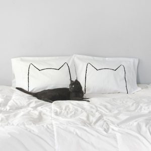 Cute Cat Images With Quotes Bilder