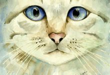 Bild von Cute Cat Pics Hd Bilder fürs handy