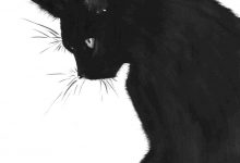 Bild von Cute Cat Pictures Download Bilder fürs handy