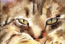 Bild von Cute Cat Pix Bilder fürs handy