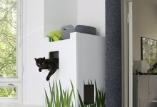 Bild von Cute Cats Hd Pic Bilder fürs handy