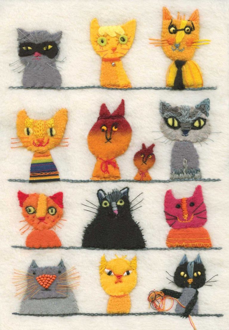 Cute Kitty Pics Bilder