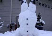 Bild von Der Schneemann bilder fürs handy