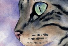 Bild von Feline Photos Bilder fürs handy