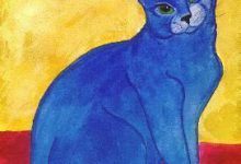 Bild von Fette Katze Bilder Kostenlos bilder fürs handy