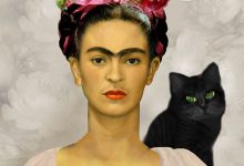Bild von Foto Mit Katze Bilder Kostenlos bilder fürs handy