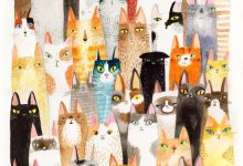 Bild von Free Cat Pictures To Download Bilder fürs handy