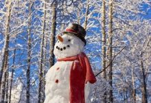 Bild von Frosty Der Schneemann Text bilder fürs handy