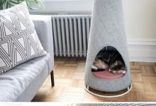Bild von Funny Cat Photos With Captions Bilder fürs handy
