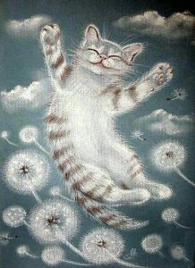 Funny Cat Pitchers Bilder 218x300 - Lustige Videos Katzen