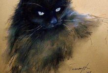 Bild von Funny Cat Posts Bilder fürs handy