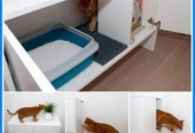 Bild von Funny Katzen bilder fürs handy