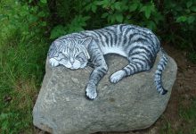 Bild von Funny Kitten Pictures Bilder fürs handy