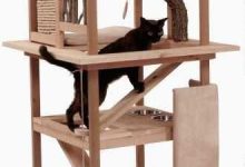 Bild von Geliebte Katze bilder fürs handy