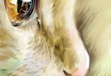 Bild von Getigerte Katzen Rassen bilder fürs handy