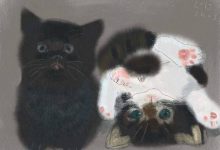 Bild von Gif Katze bilder fürs handy