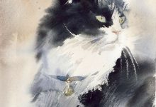 Bild von Goofy Cat Pics Bilder fürs handy