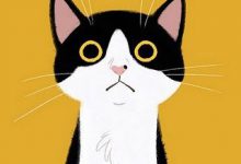 Bild von Gratis Katzenbabys bilder fürs handy