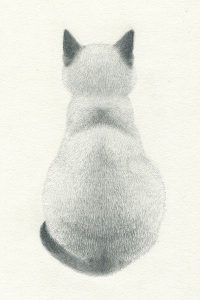 Hauskatze Gratis 200x300 - Cutest Cat Picture Ever Bilder