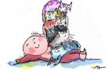 Bild von Heilige Birma Kitten bilder fürs handy