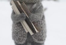 Bild von Kartäuser Katze Bilder Bilder Kostenlos bilder fürs handy