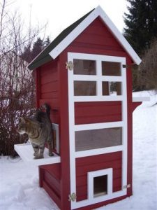Katze Grundschule Kostenlos 225x300 - Tierheim