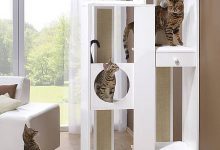 Bild von Katze Und Du bilder fürs handy