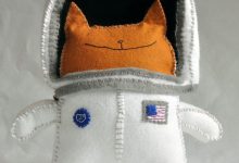 Bild von Katzen Infos Bilder Kostenlos bilder fürs handy