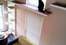 Bild von Katzen Milben Bilder fürs handy