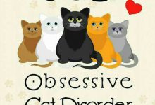 Bild von Katzen Motive Zum Ausdrucken bilder fürs handy