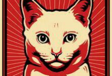 Bild von Katzen Puzzle Kostenlos bilder fürs handy