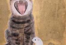 Bild von Katzenbabys Kaufen Nrw bilder fürs handy