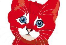Bild von Katzenbabys Zu Verschenken Nrw bilder fürs handy