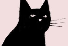 Bild von Katzenbilder Wallpaper bilder fürs handy