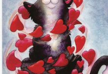 Bild von Katzenclub bilder fürs handy