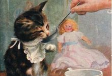 Bild von Katzenkinder bilder fürs handy